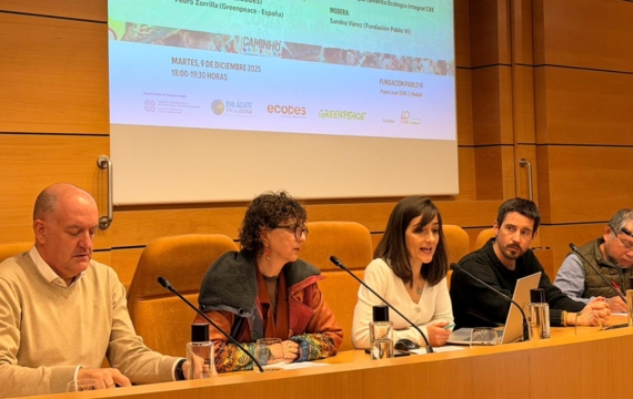 Organizaciones civiles y eclesiales seguirán trabajando por la justicia climática como un “deber moral”