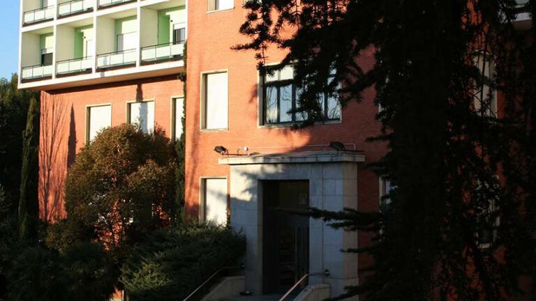 Lee más sobre el artículo Nuevo Director General en la Fundación Pablo VI