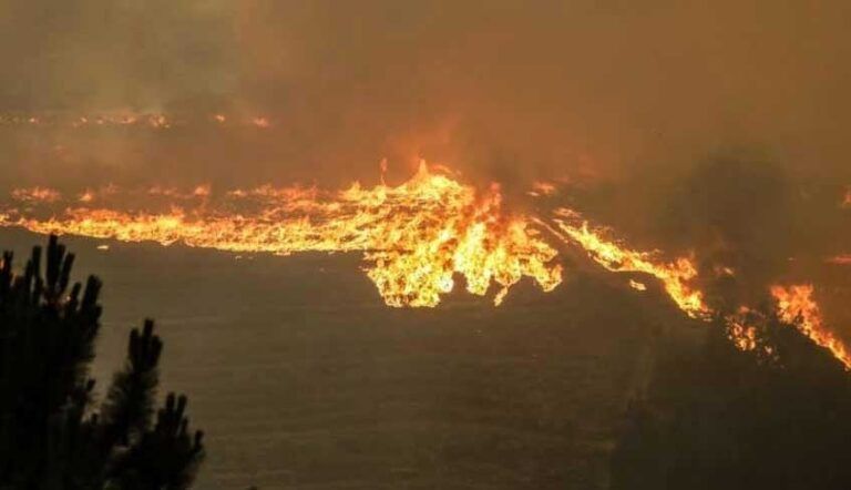 Lee más sobre el artículo El cuidado de la casa común – para prevenir y evitar el fuego