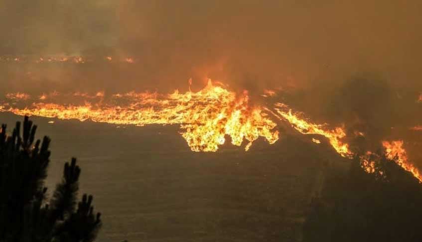 En este momento estás viendo El cuidado de la casa común – para prevenir y evitar el fuego