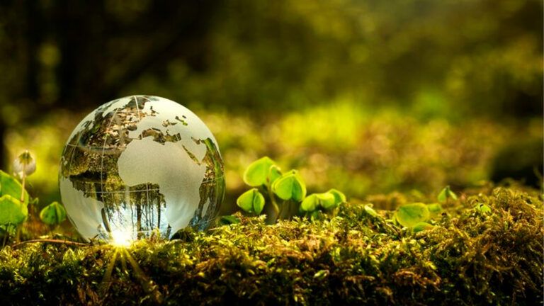 Lee más sobre el artículo Conclusiones del I Seminario de Ecología Integral
