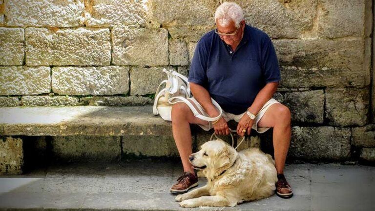 Lee más sobre el artículo El nombre del perro