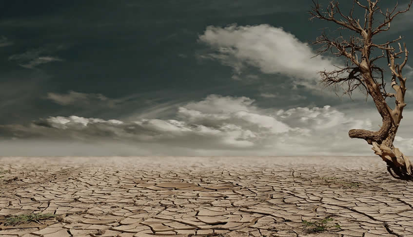 En este momento estás viendo Declaración conjunta sobre la justicia climática
