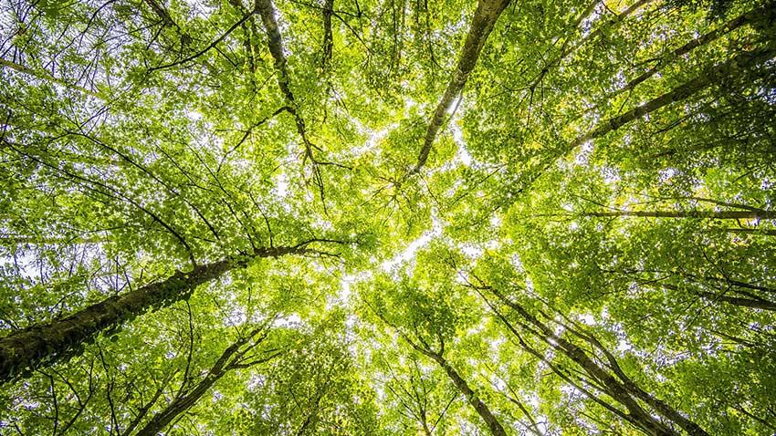 En este momento estás viendo La lucha contra el cambio climático, un compromiso en aras del bien común