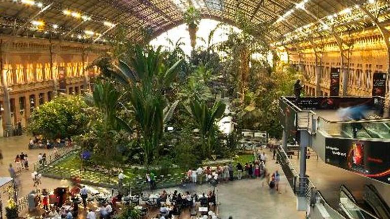 Lee más sobre el artículo Fotografías disponibles