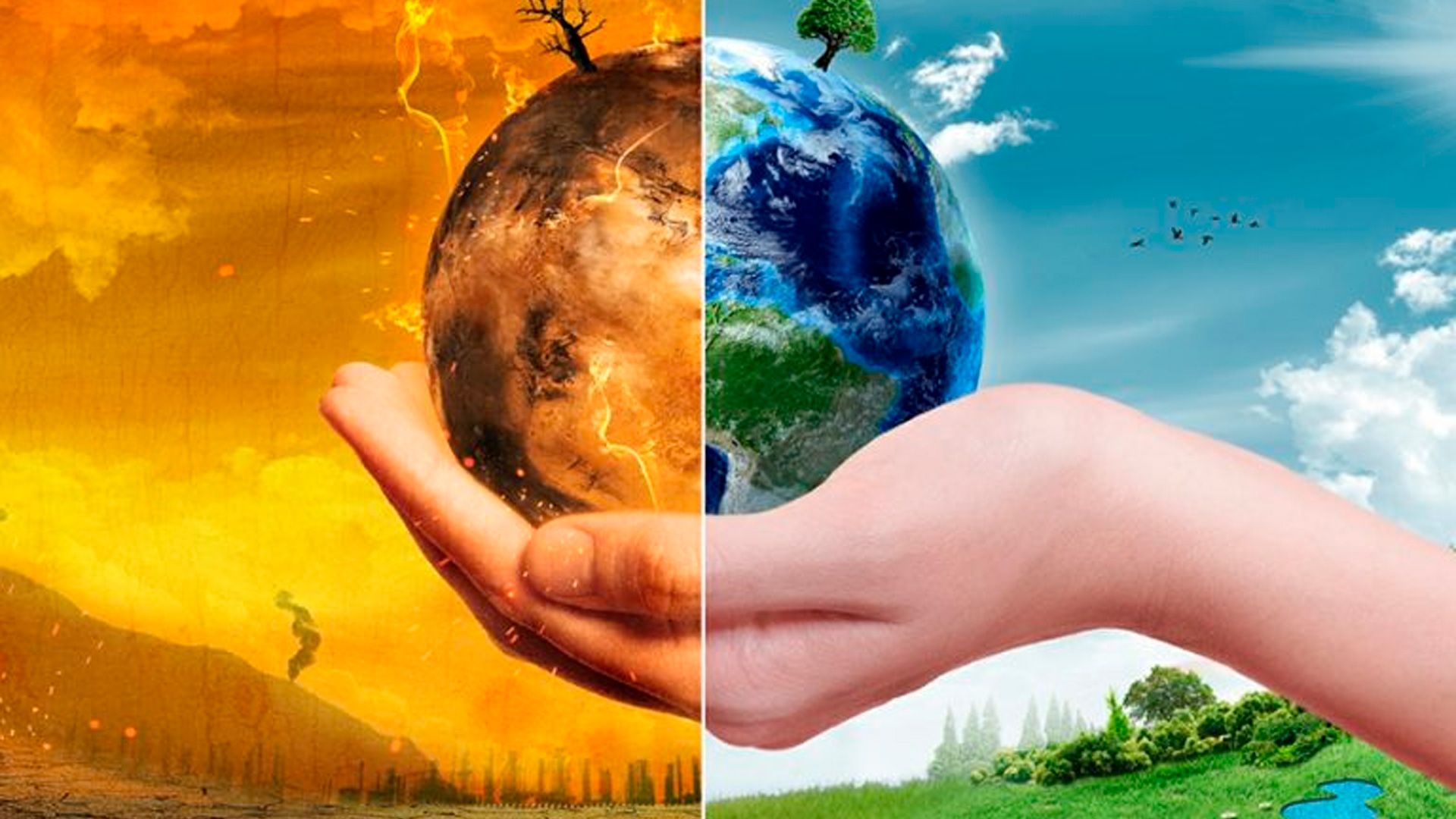 Lee más sobre el artículo Ante la Cumbre del Clima – Llamados a una conversión ecológica