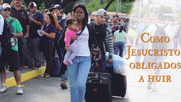 Lee más sobre el artículo Jornada Mundial del Migrante y del Refugiado 2020