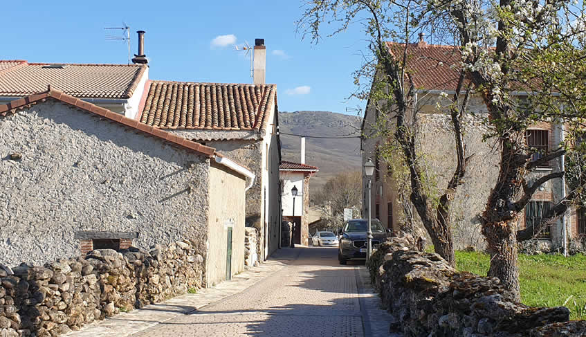 En este momento estás viendo La España rural, un reto para la ecología integral
