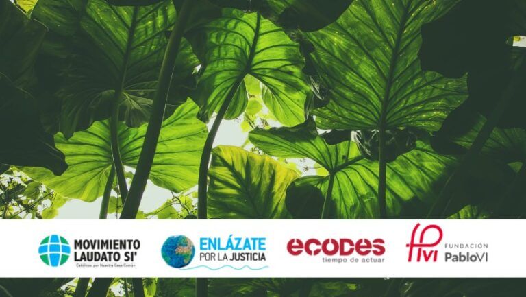 Lee más sobre el artículo Que la COP 28 no sea una cumbre más