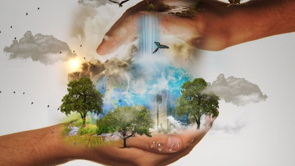 naturalezaciencia
