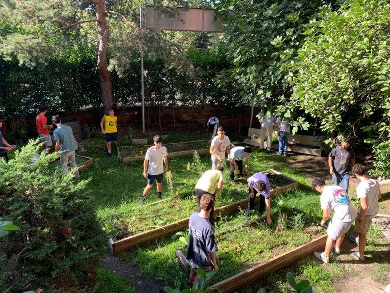 La Fundación Pablo VI por una ecología integral