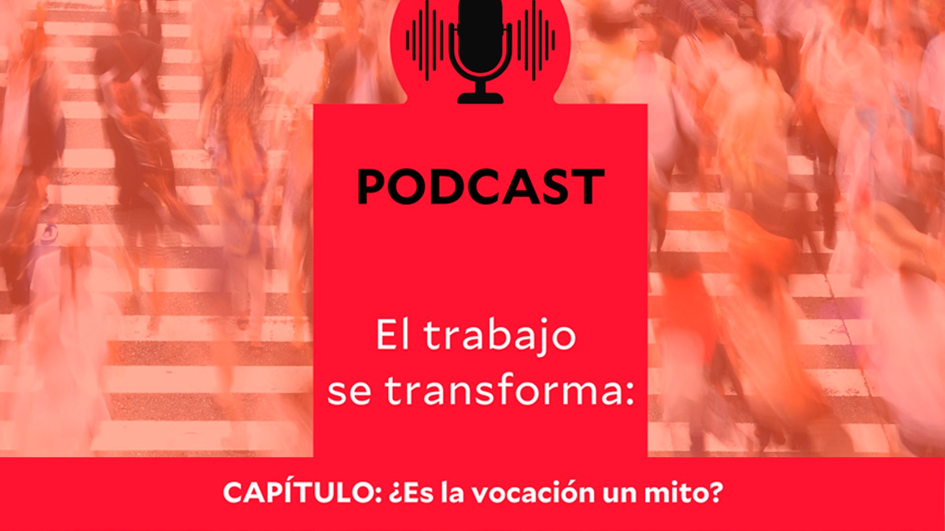 En este momento estás viendo Capítulo: Horarios, conciliación y accesibilidad